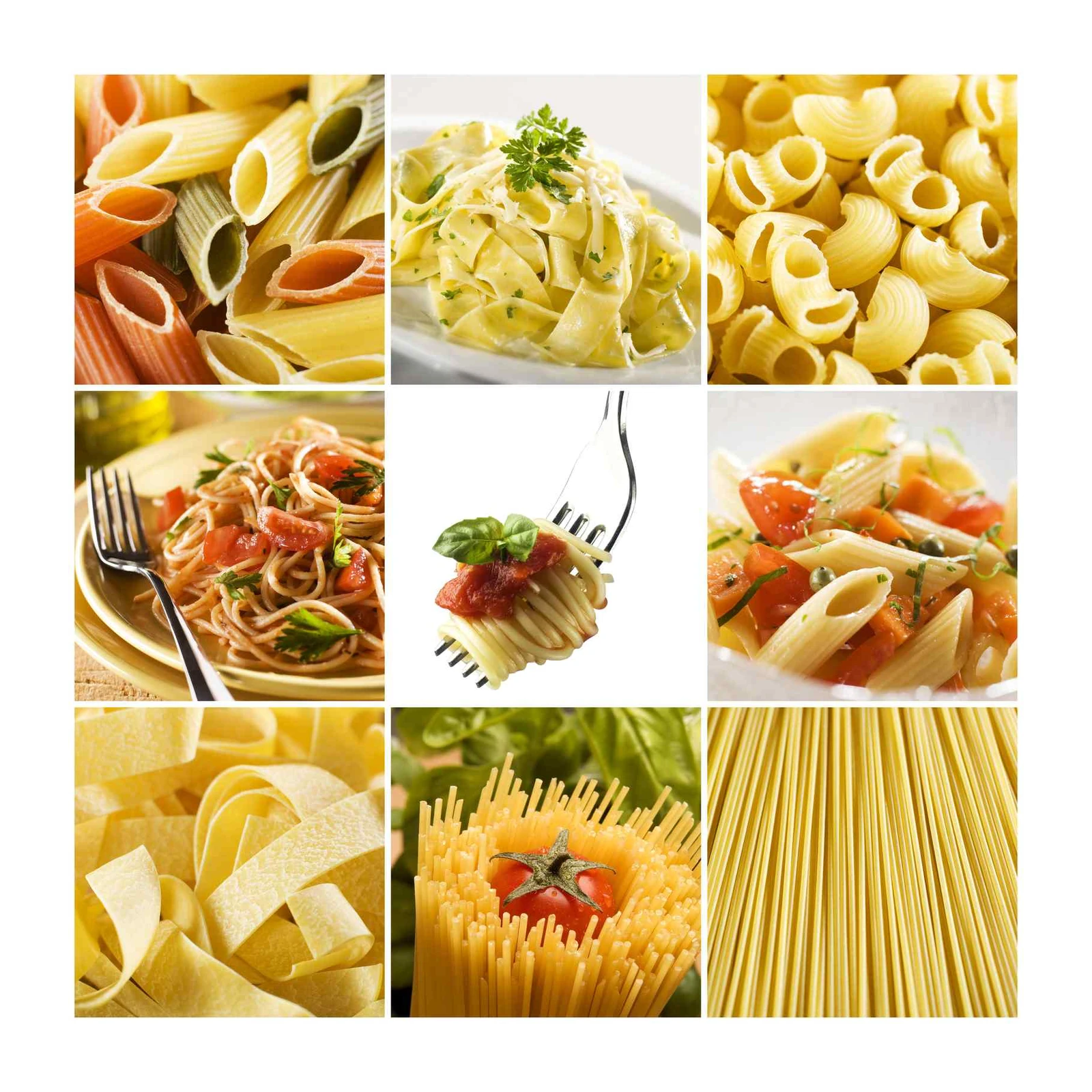 Gourmet Pasta Collage Wall Art