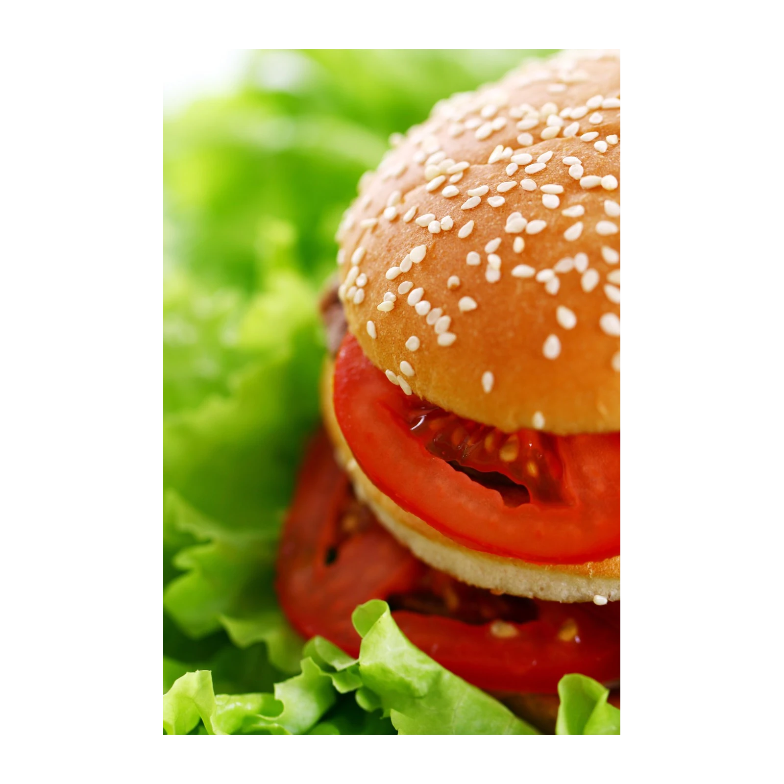 Juicy Burger & Fresh Lettuce Wall Art