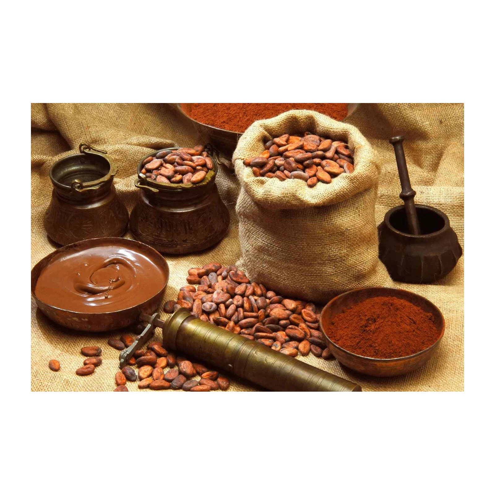 Rich Cacao & Chocolate Ingredients Wall Art