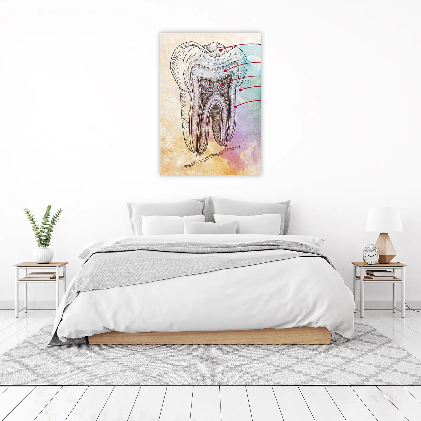 Vintage Tooth Anatomy Sketch Wall Art