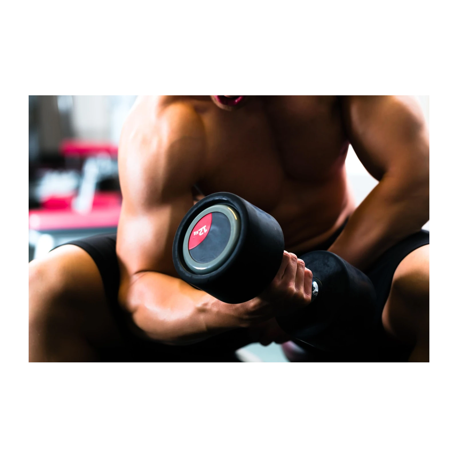 Fit Bodybuilder Dumbbell Workout Wall Art