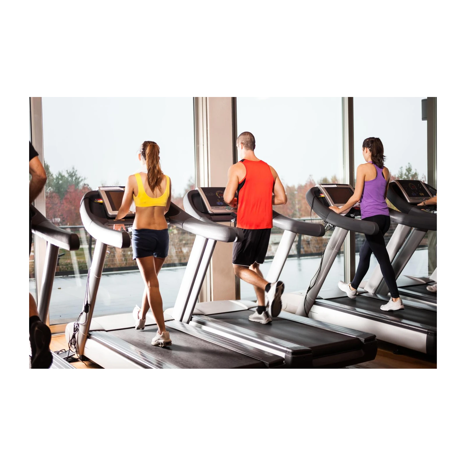 Energize Your Space: Fitness Motivation Wall Art