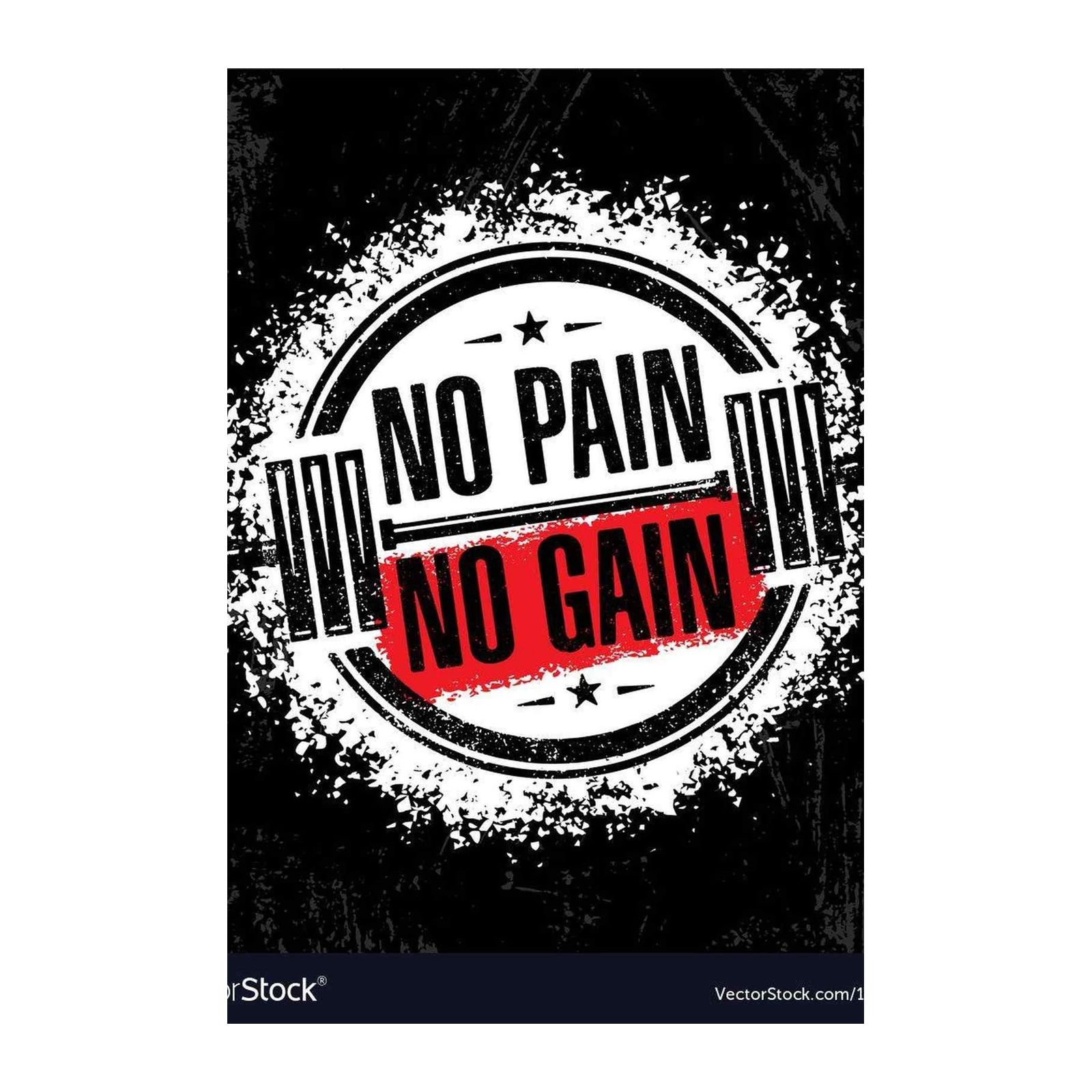 Motivational Fitness 'No Pain No Gain' Wall Art