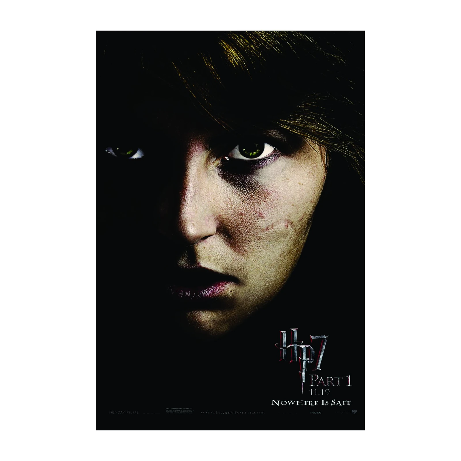 Intense Hermione Granger Harry Potter 7 Wall Art