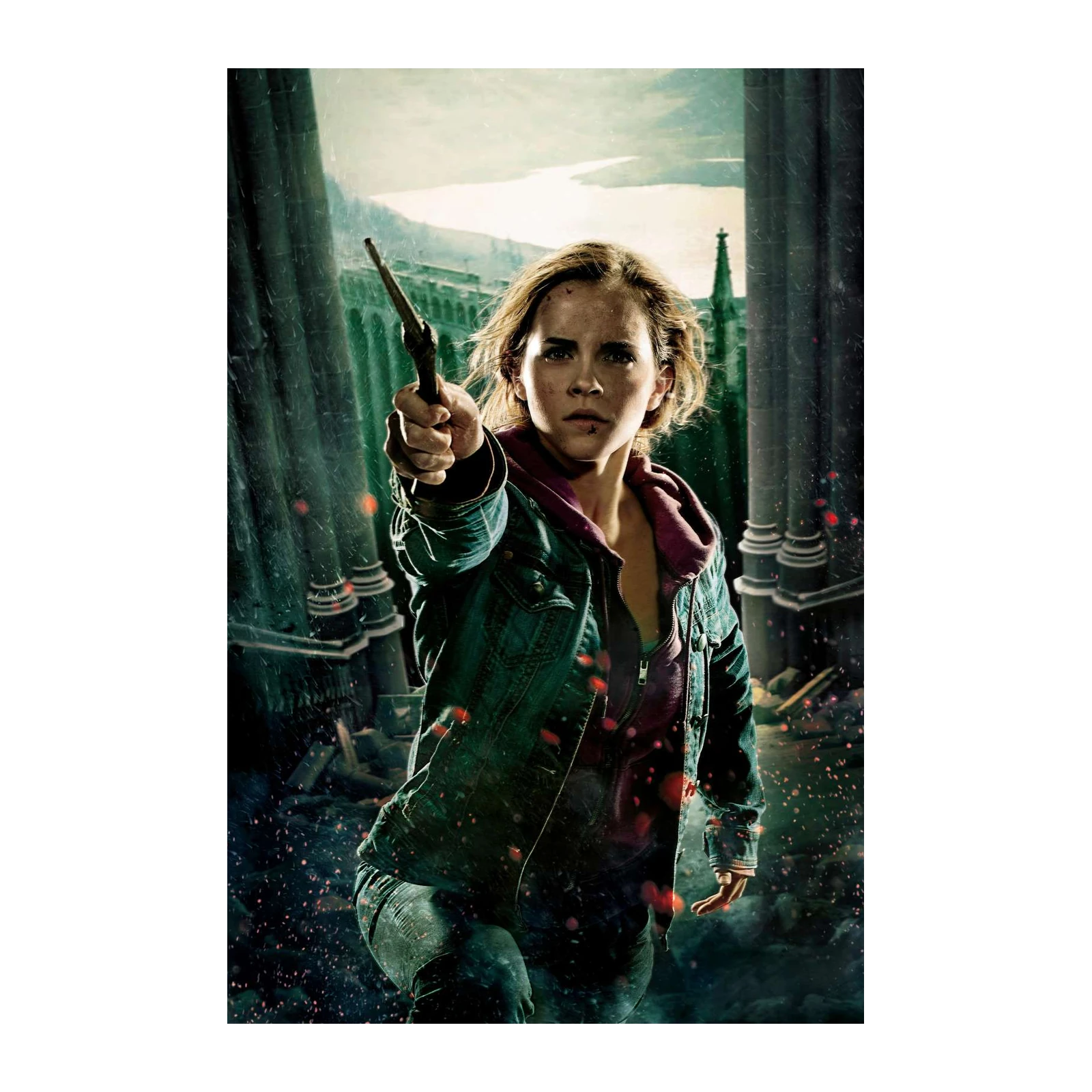 Hermione Granger Action Wall Art