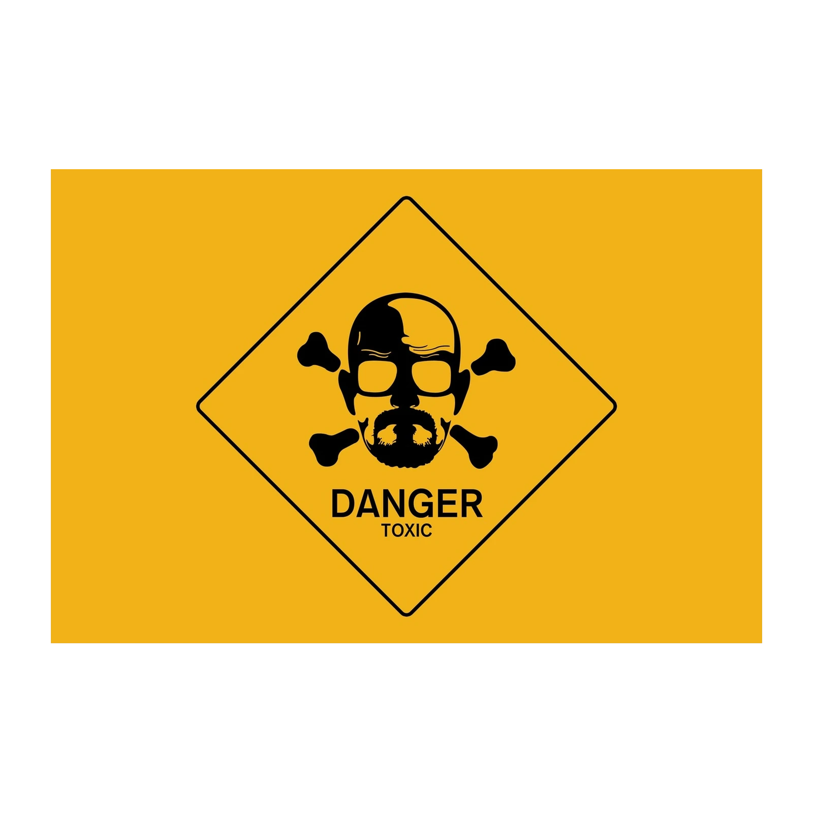 Iconic Danger Toxic Skull Wall Art