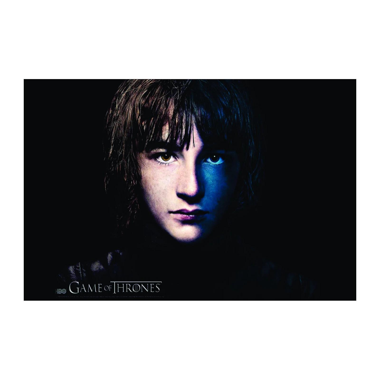Bran Stark Game of Thrones Dramatic Wall Art