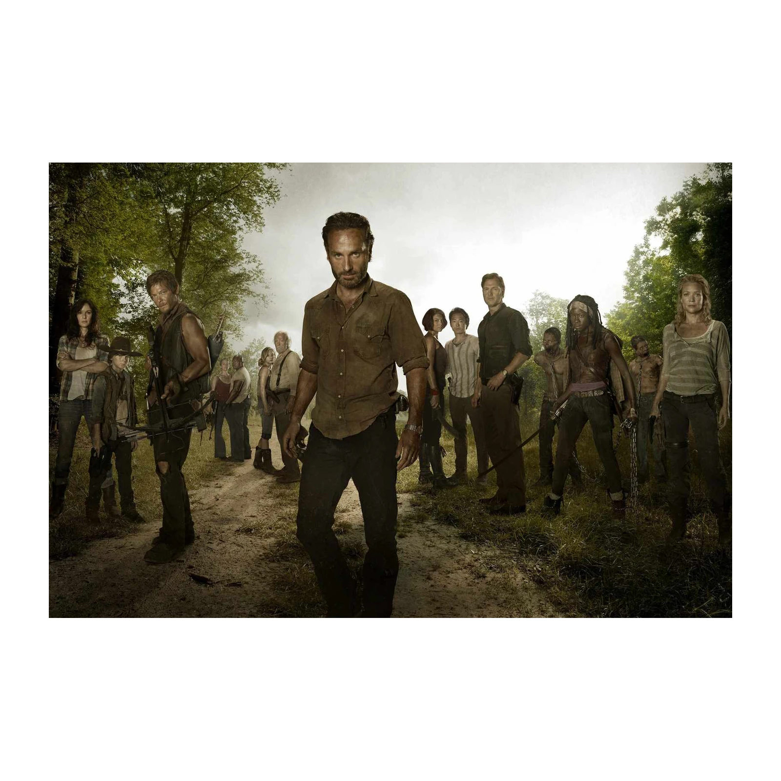 The Walking Dead Survivors Wall Art