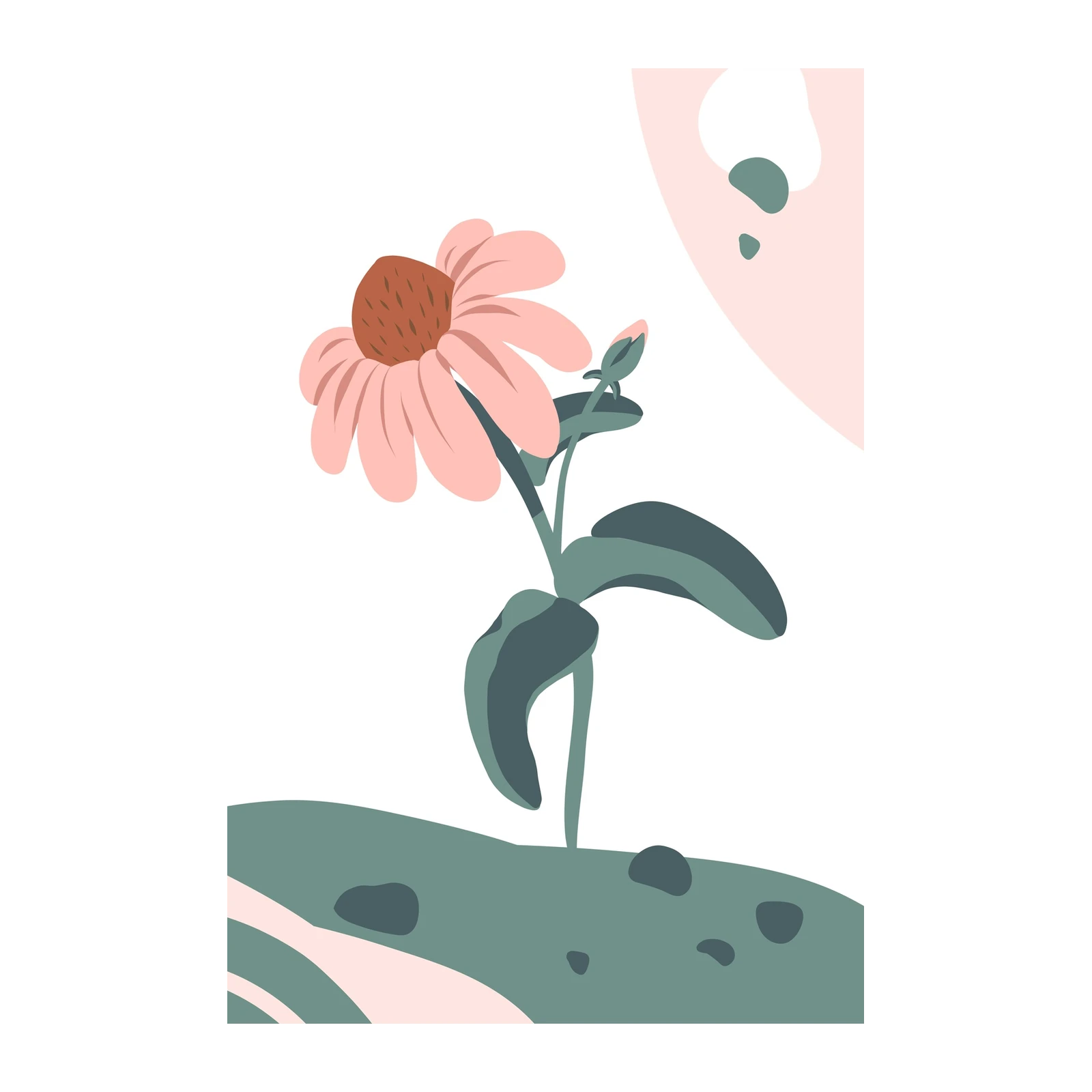 Soft Pink Floral Minimalist Wall Art
