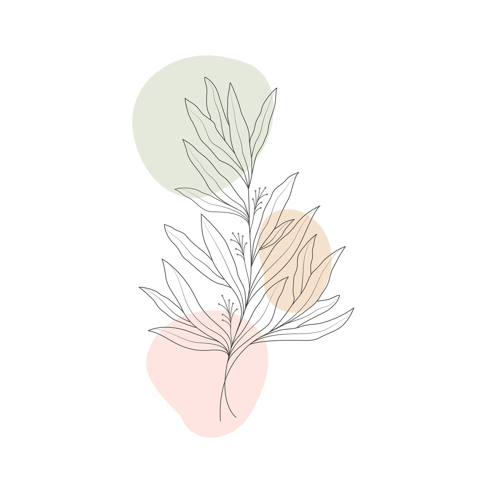 Botanical Line Art with Pastel Shapes Wall Art