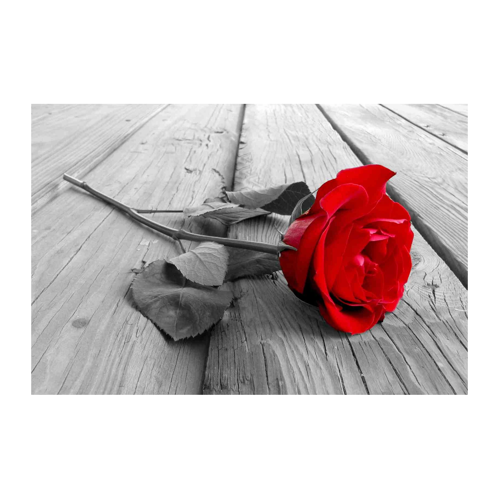 Bold Red Rose on Wood Grain Wall Art