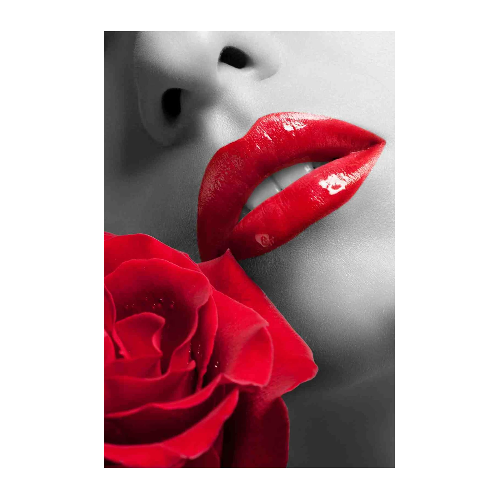 Sensual Red Lips & Rose Wall Art