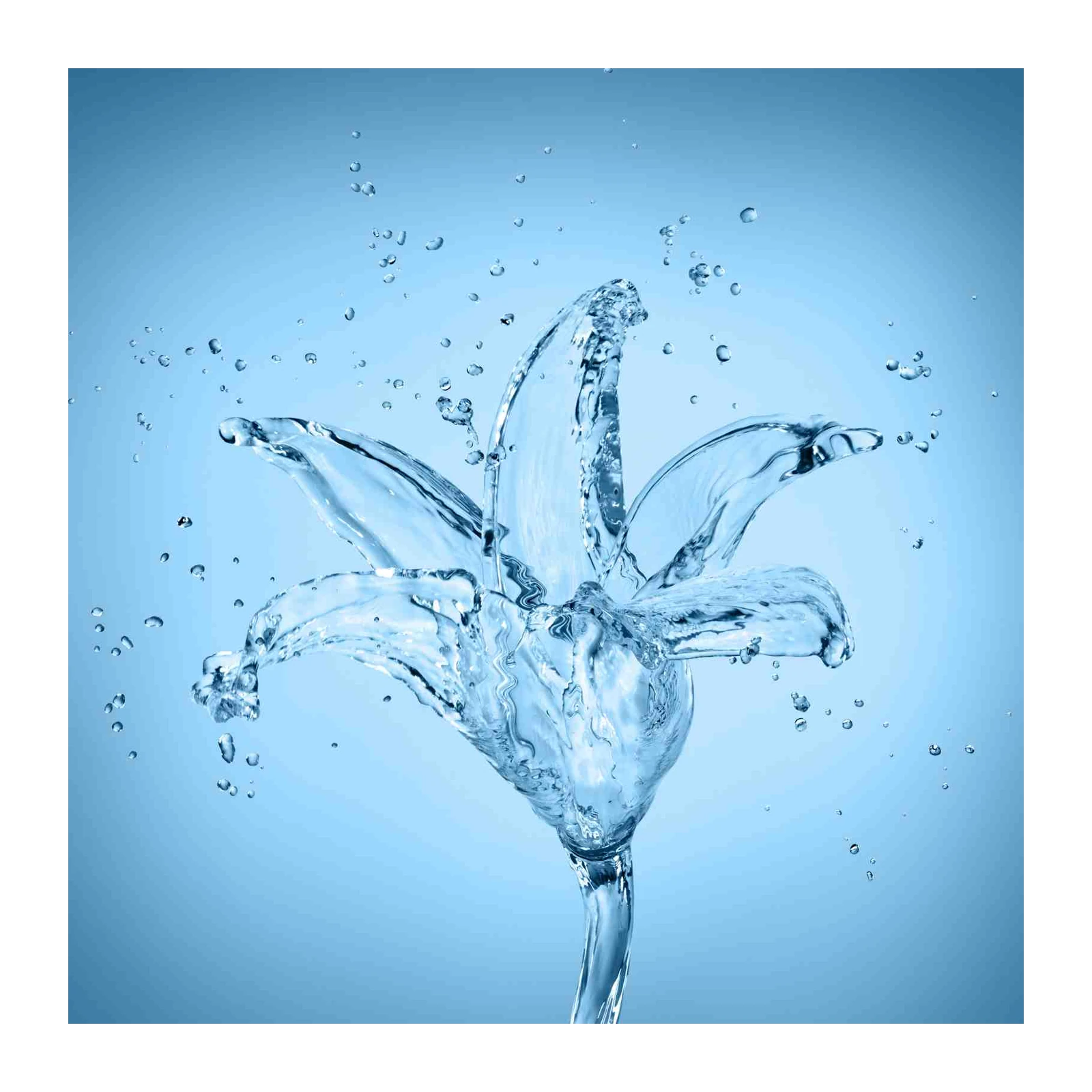 Liquid Flower Splash Wall Art - Refreshing Nature Art