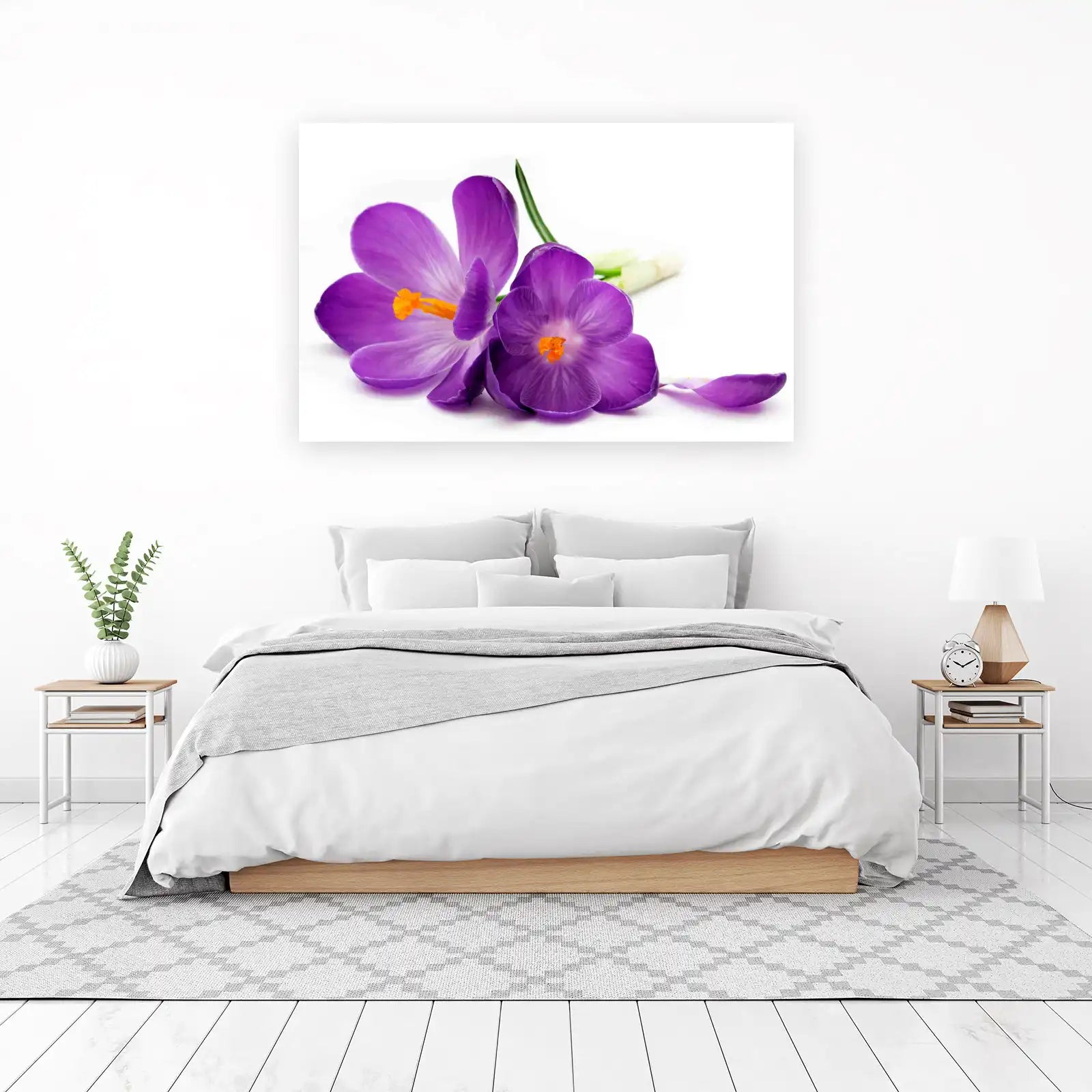 Purple Crocus Flower Still Life Wall Art