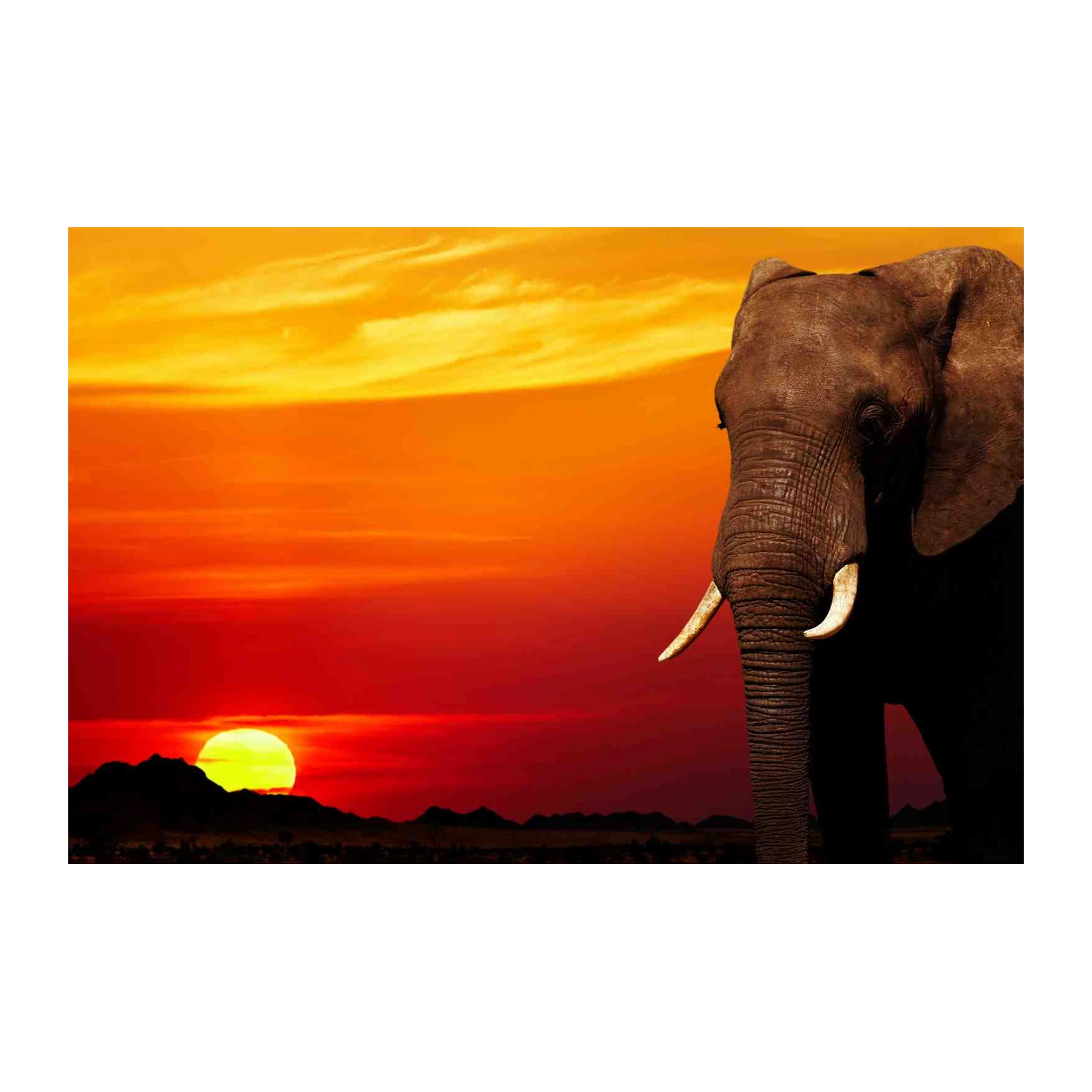 Majestic Elephant Sunset African Safari Wall Art