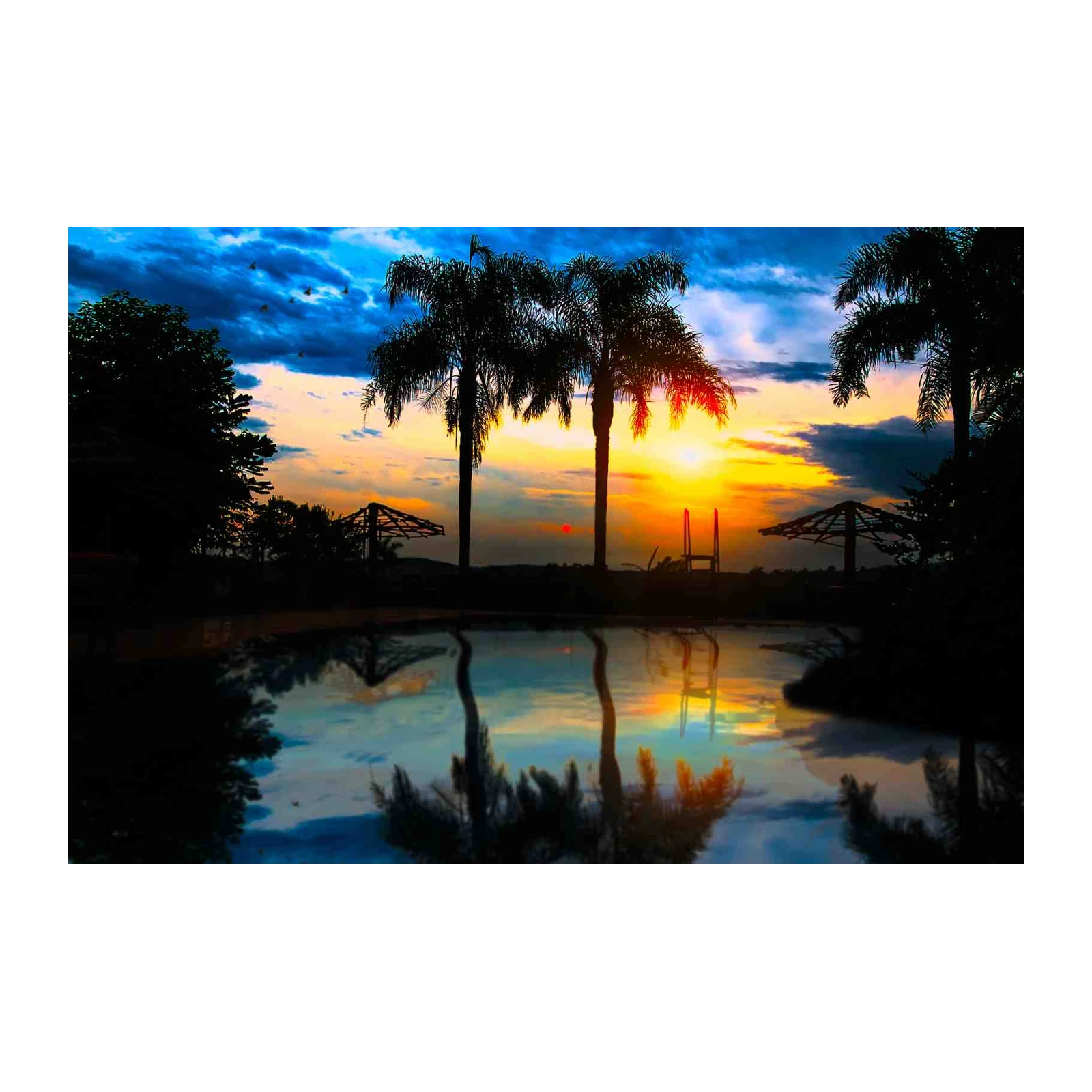 Tropical Sunset Palm Trees Wall Art