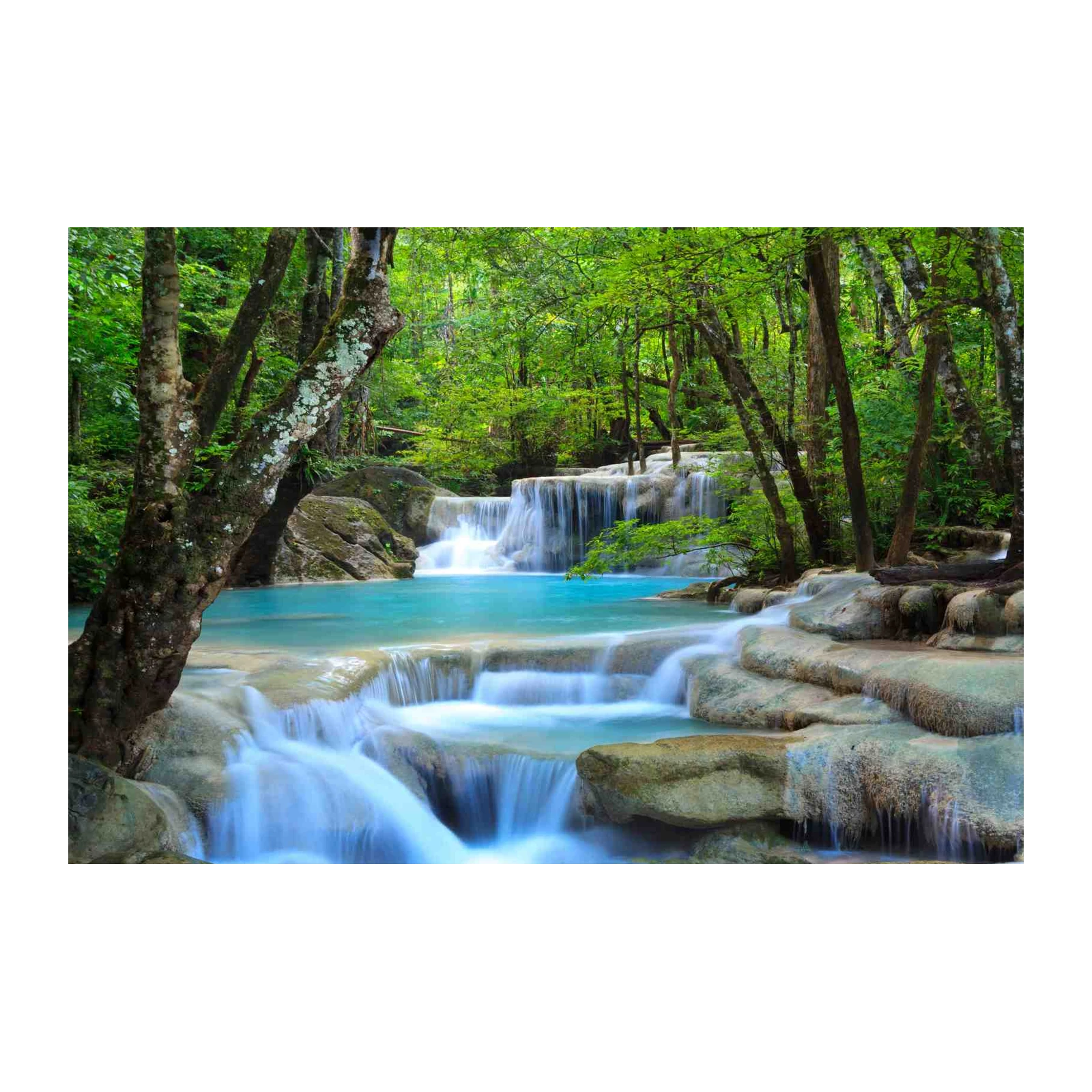 Serene Waterfall Tropical Forest Wall Art