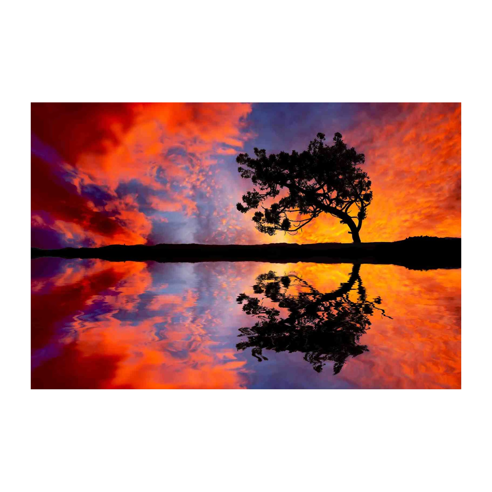 Vibrant Sunset Tree Reflection Wall Art