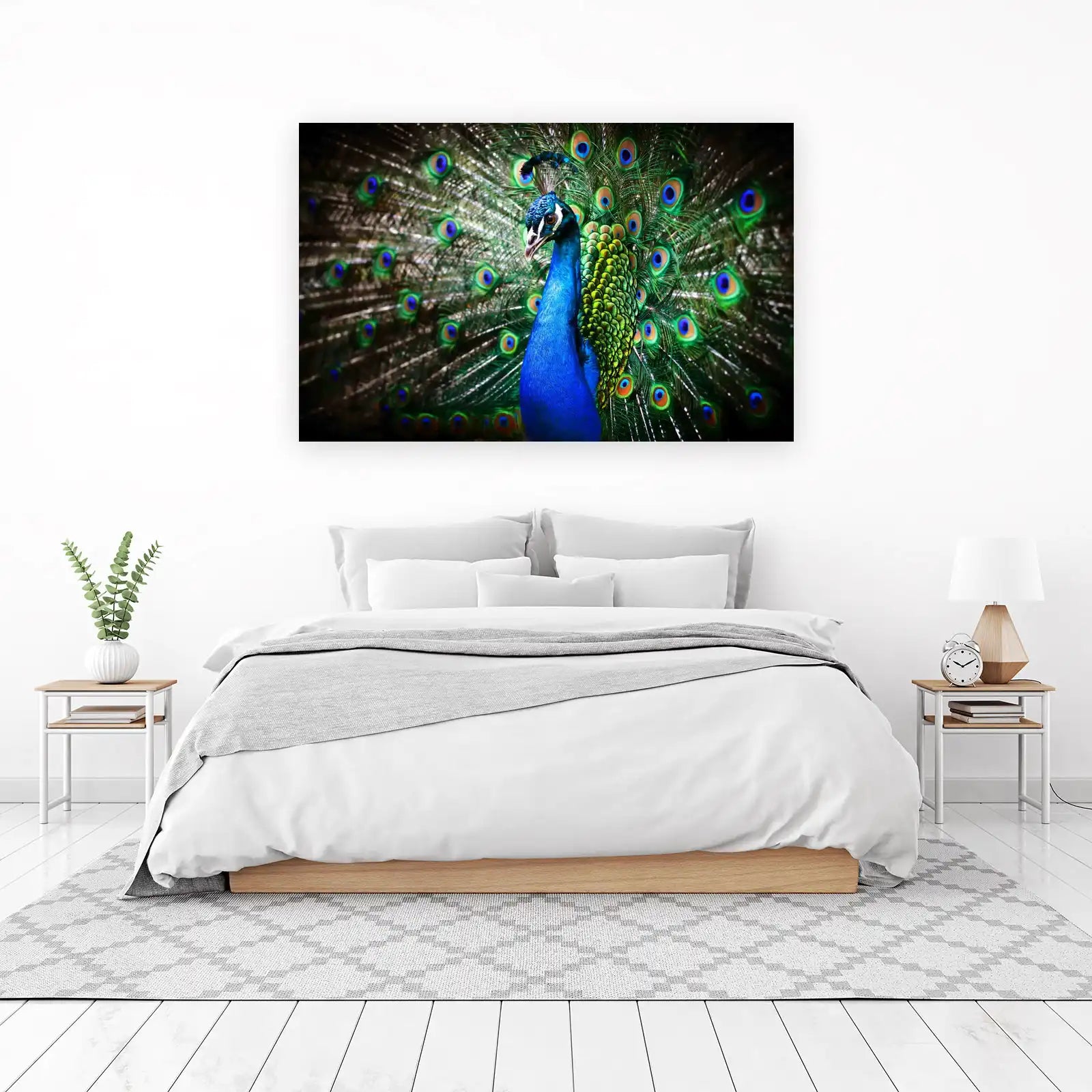 Majestic Peacock Display Wall Art