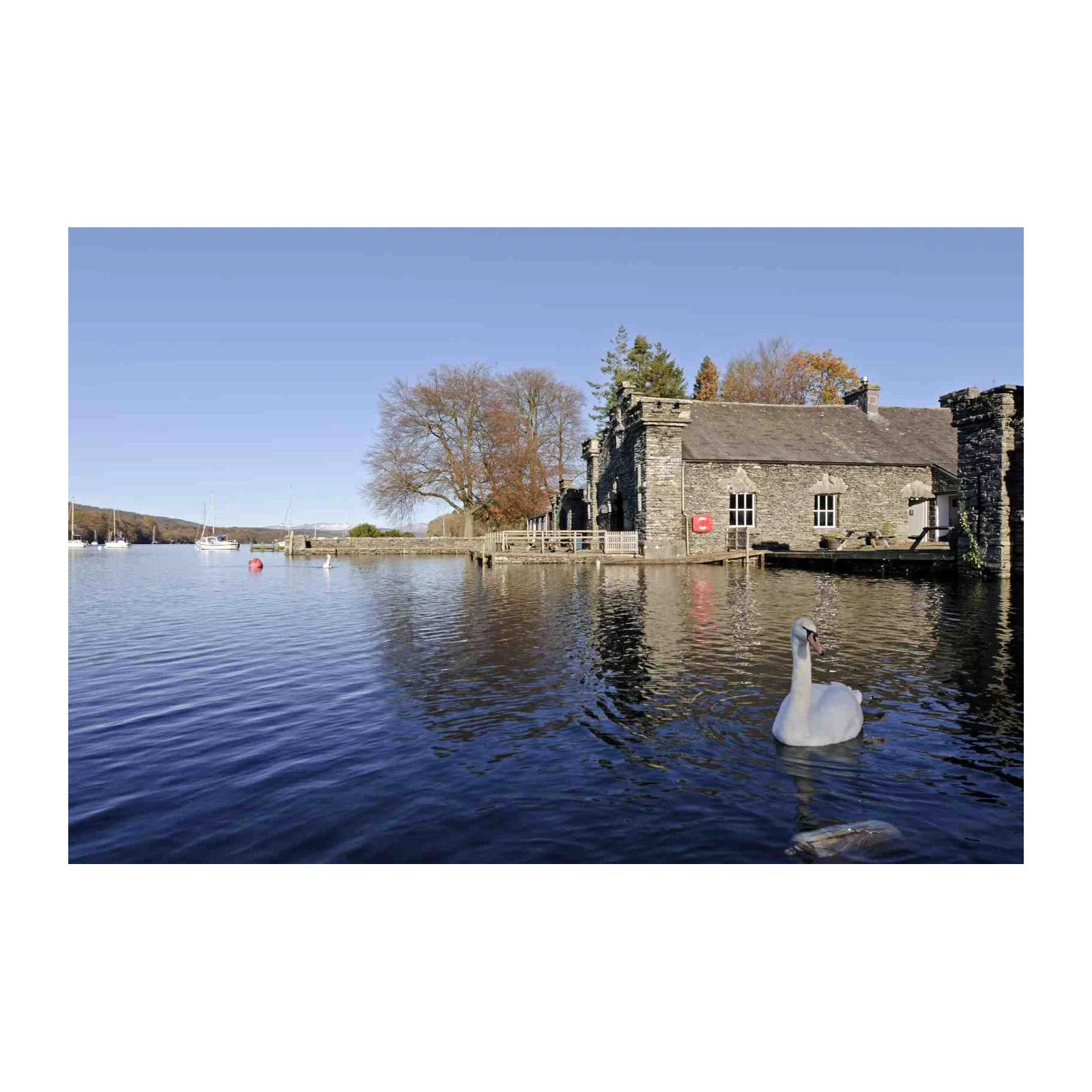 Serene Swan Lakehouse Landscape Wall Art