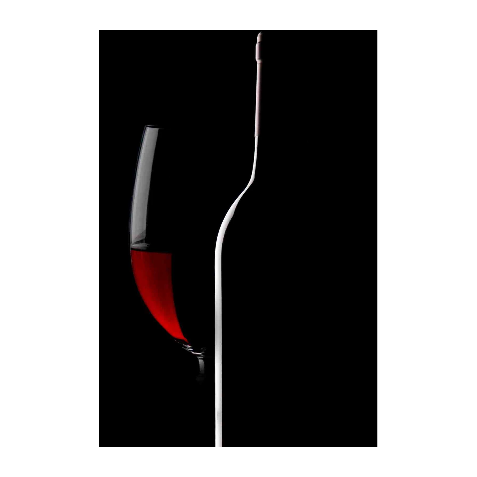 Elegant Red Wine Glass & Bottle Silhouette Wall Art