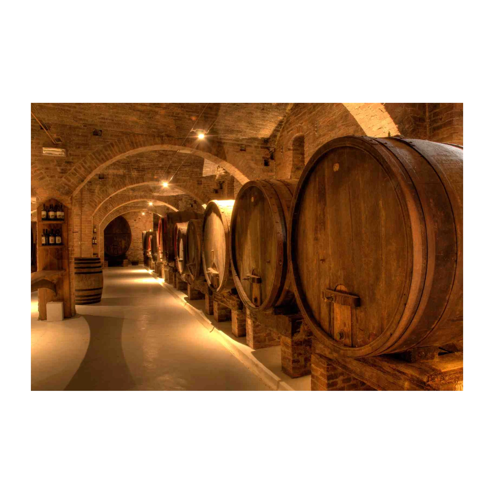 Vintage Wine Cellar Barrels Wall Art