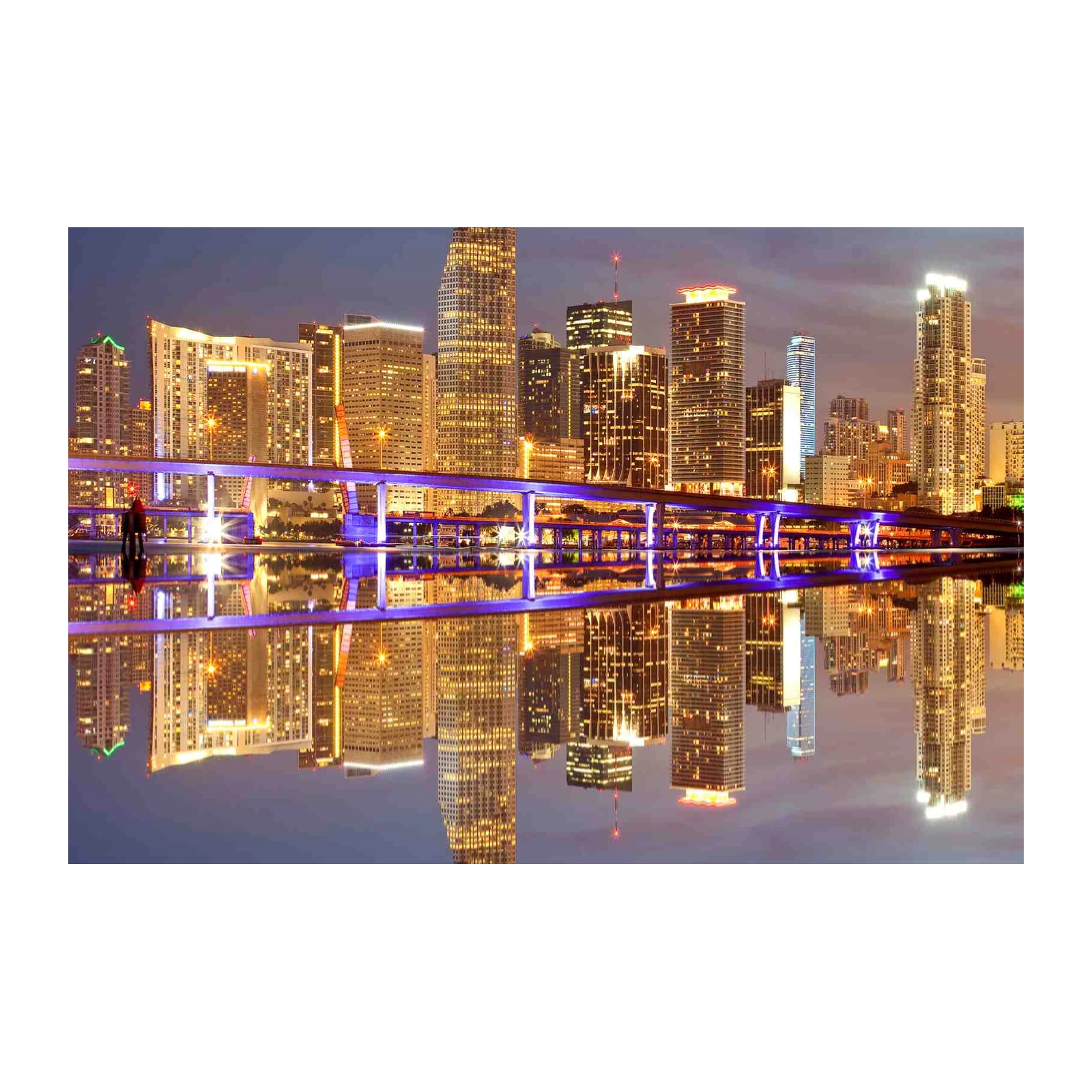 Miami Skyline Cityscape at Night Wall Art