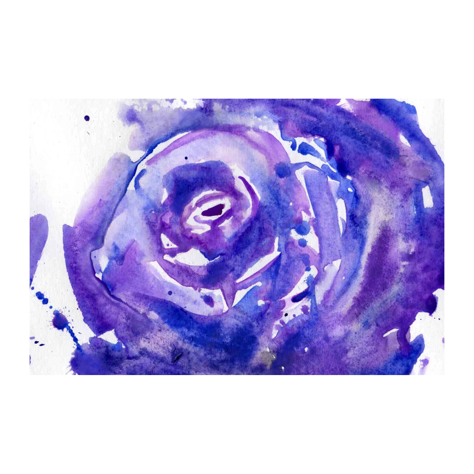 Abstract Purple Rose Watercolor Wall Art