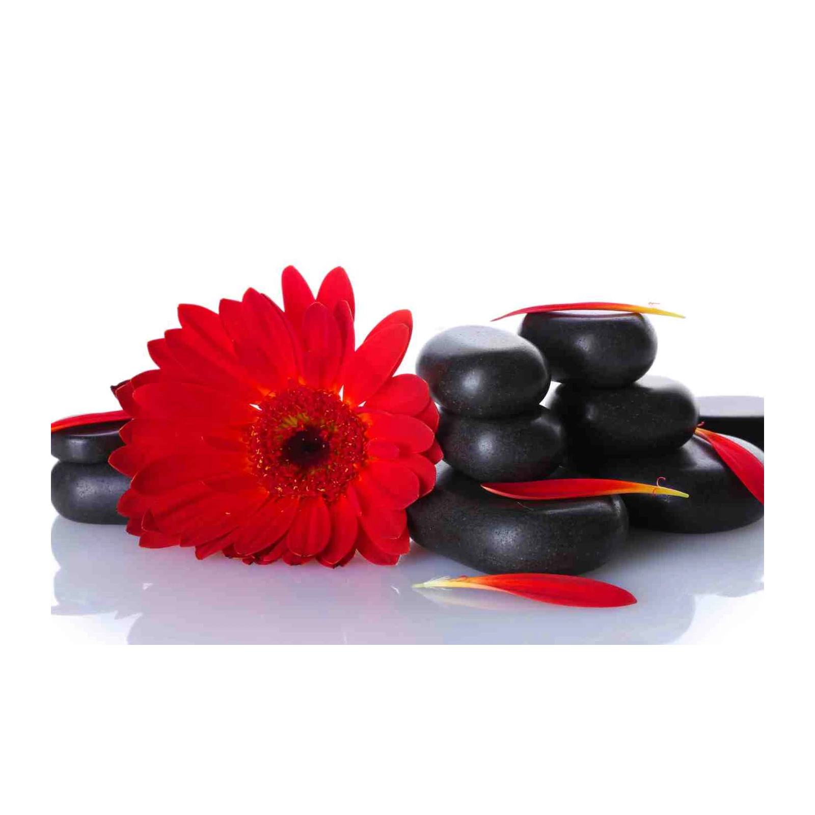 Red Gerbera Spa Stones Zen Wall Art
