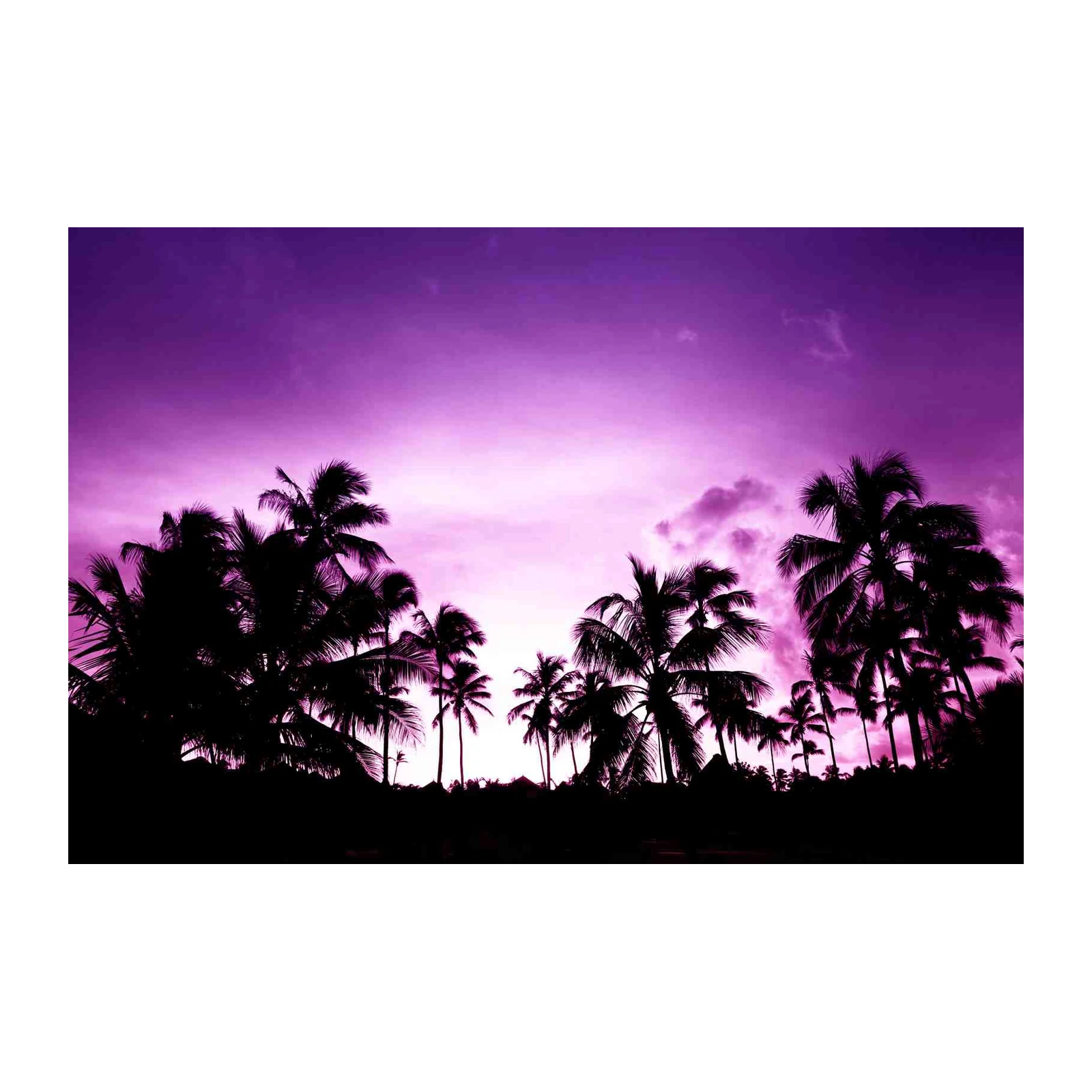 Vibrant Purple Palm Trees Sunset Wall Art