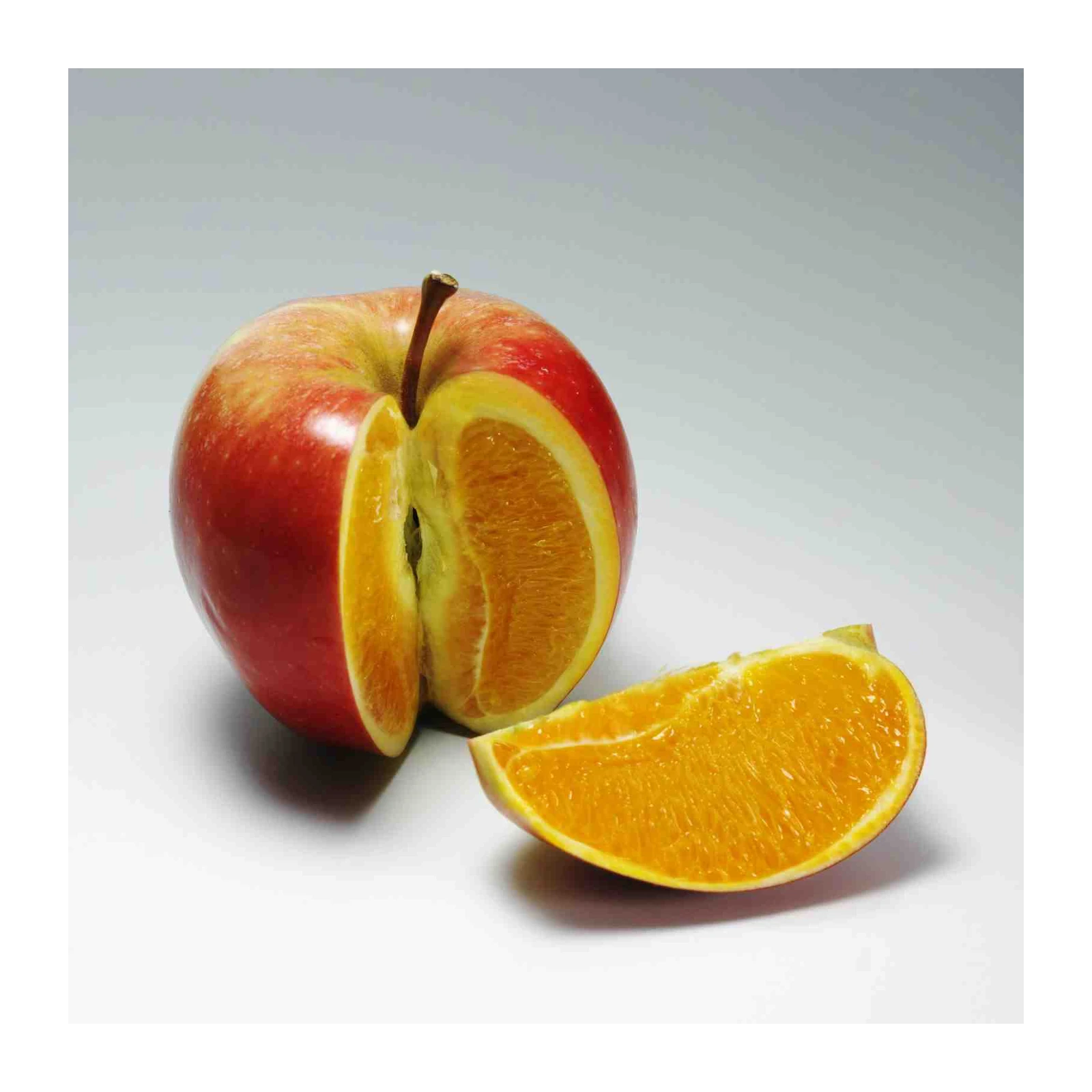 Apple Orange Fusion Modern Art Wall Art