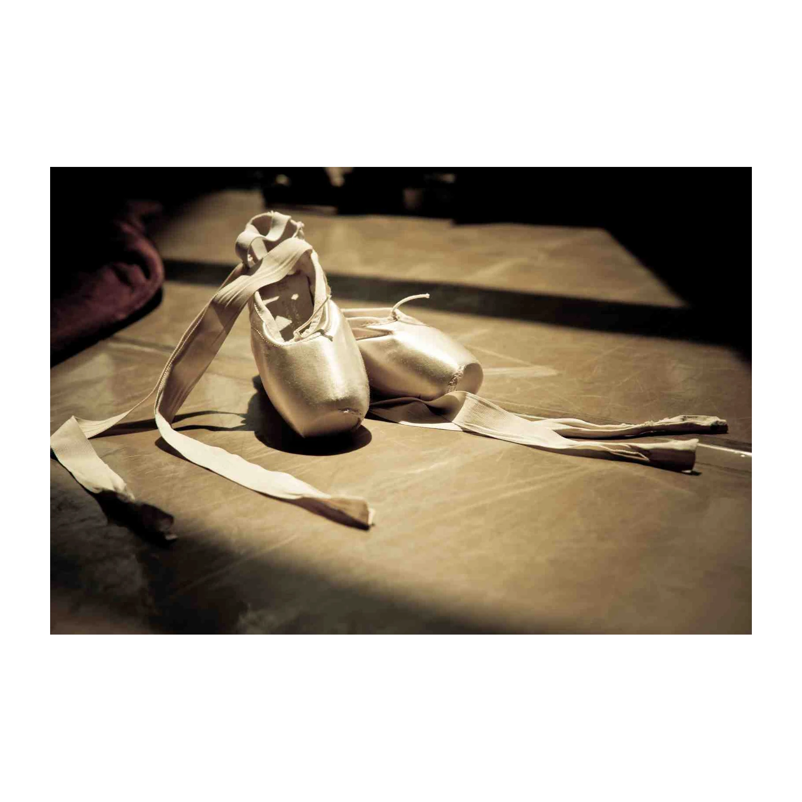 Elegant Ballet Slippers Serene Dancer Wall Art