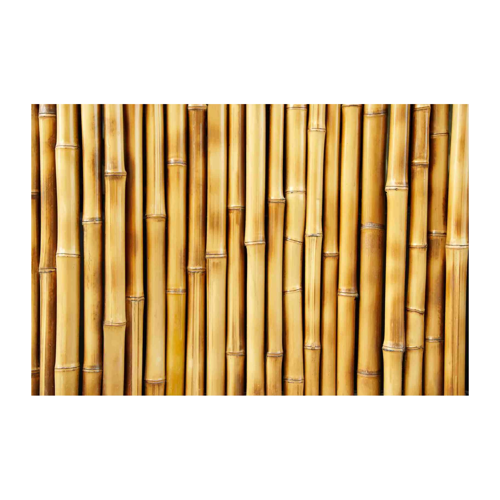 Natural Bamboo Wall Texture Wall Art