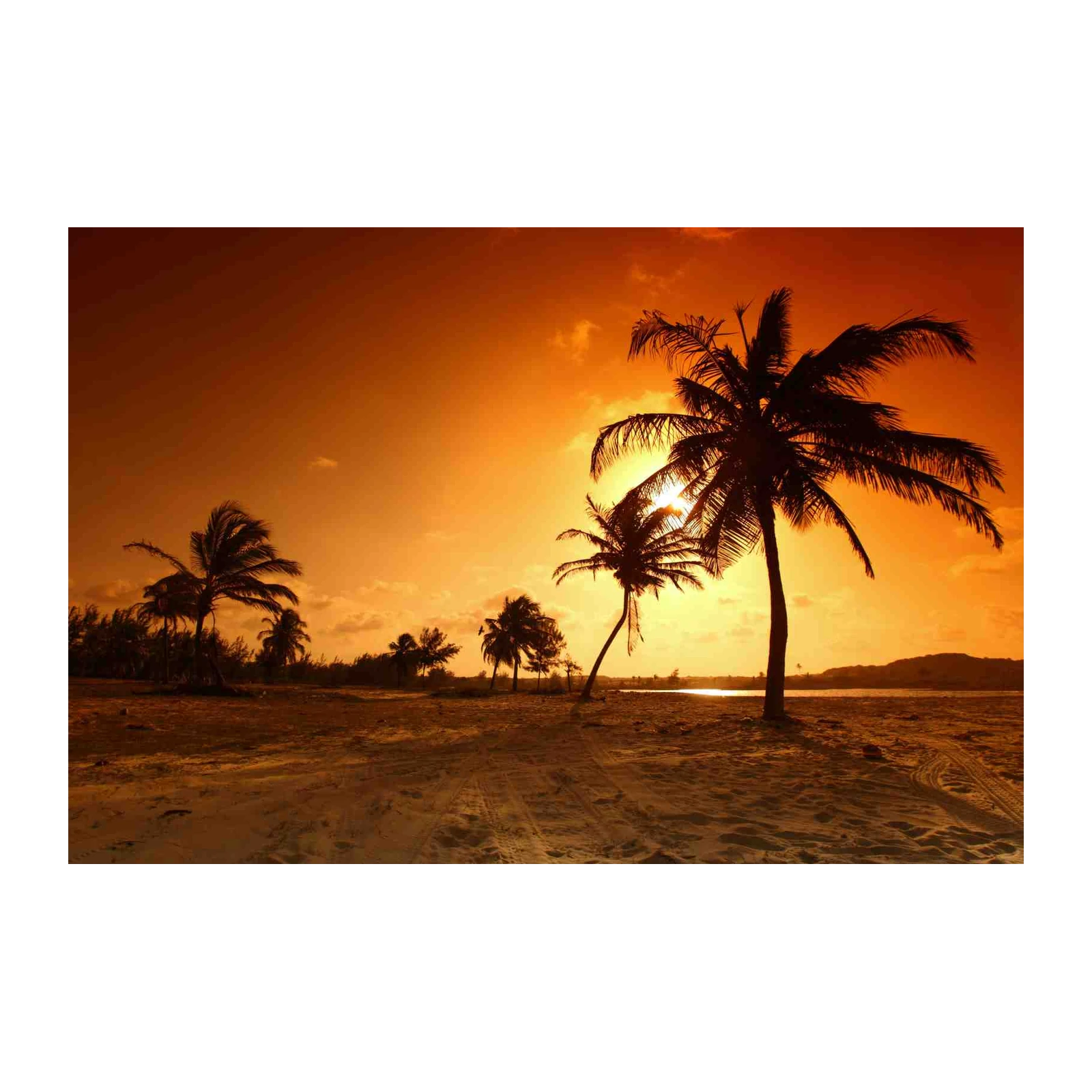 Tropical Sunset Palm Trees Wall Art