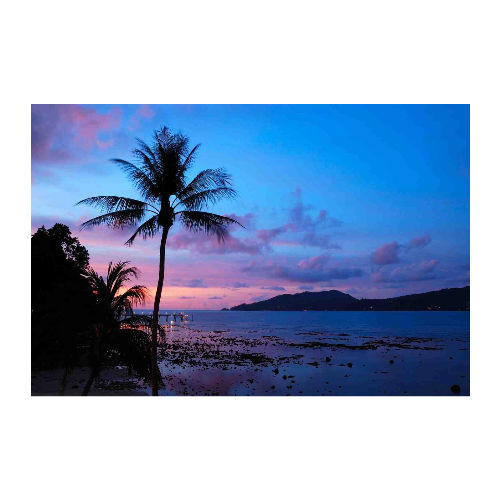 Tropical Sunset Palm Paradise Wall Art