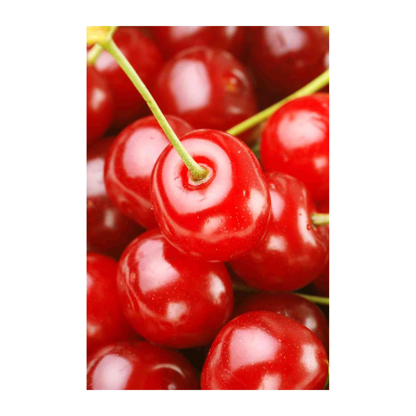 Vibrant Cherry Delight Wall Art Wall Art
