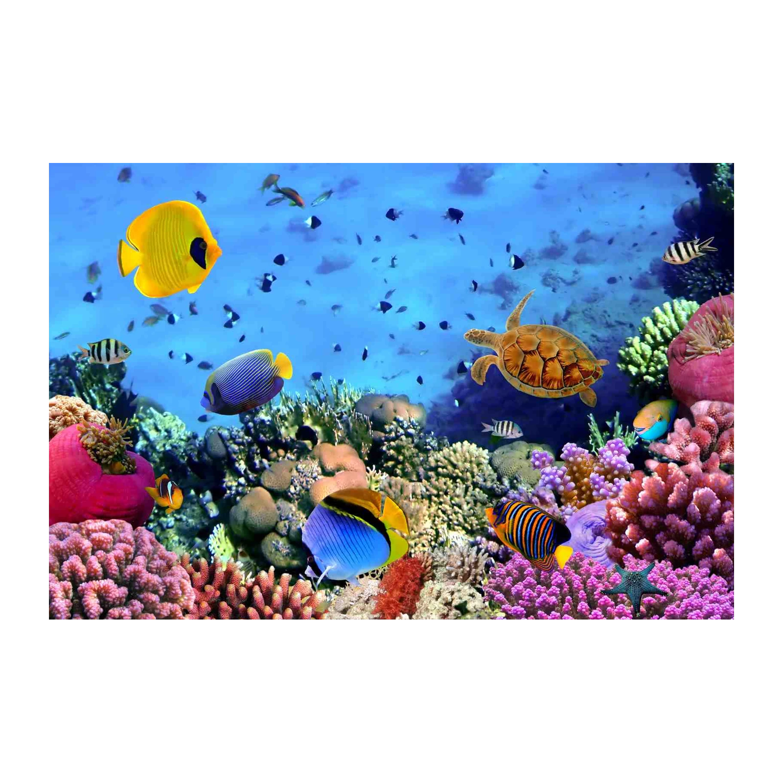 Vibrant Underwater Coral Reef Wall Art