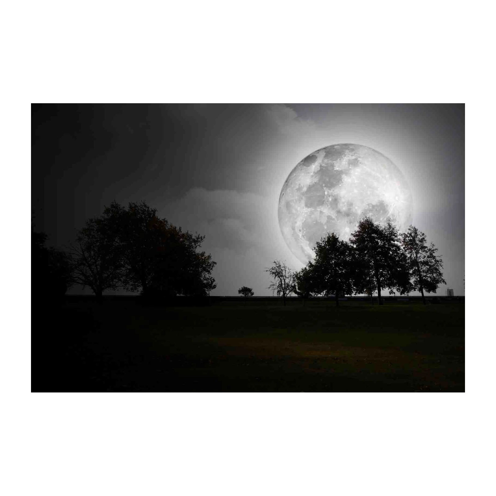 Mystic Full Moon Landscape Wall Art