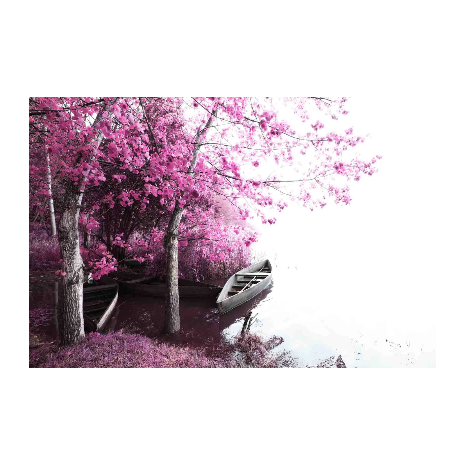 Enchanting Pink Forest & Boat Wall Art