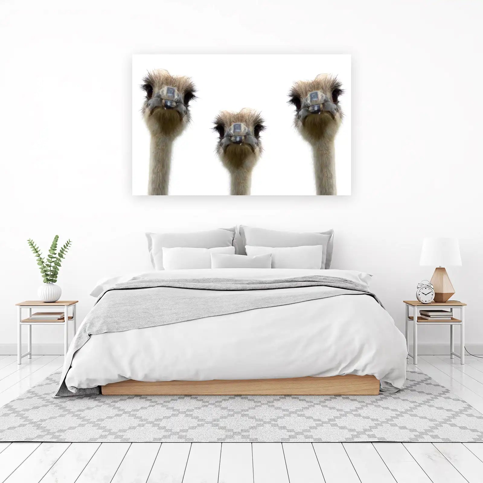 Quirky Ostrich Trio Wall Art