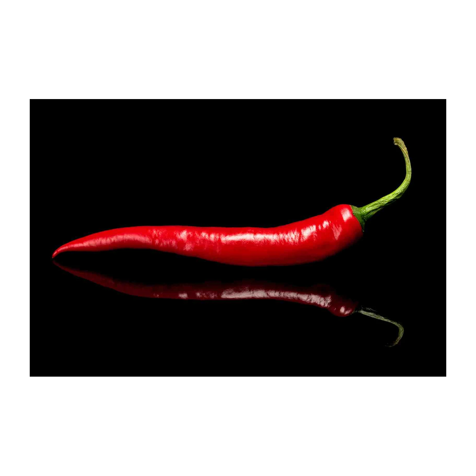 Vibrant Red Chili Pepper Statement Wall Art