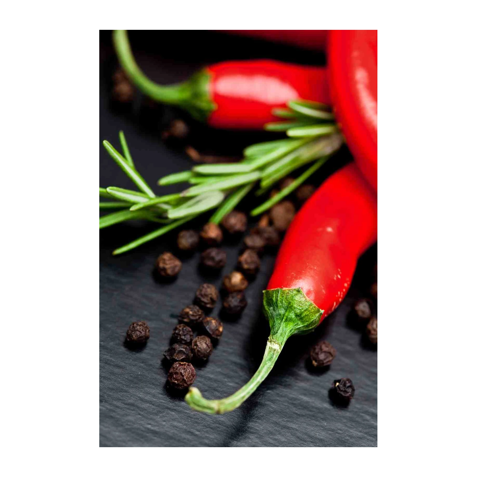 Vibrant Red Chili Pepper & Rosemary Wall Art