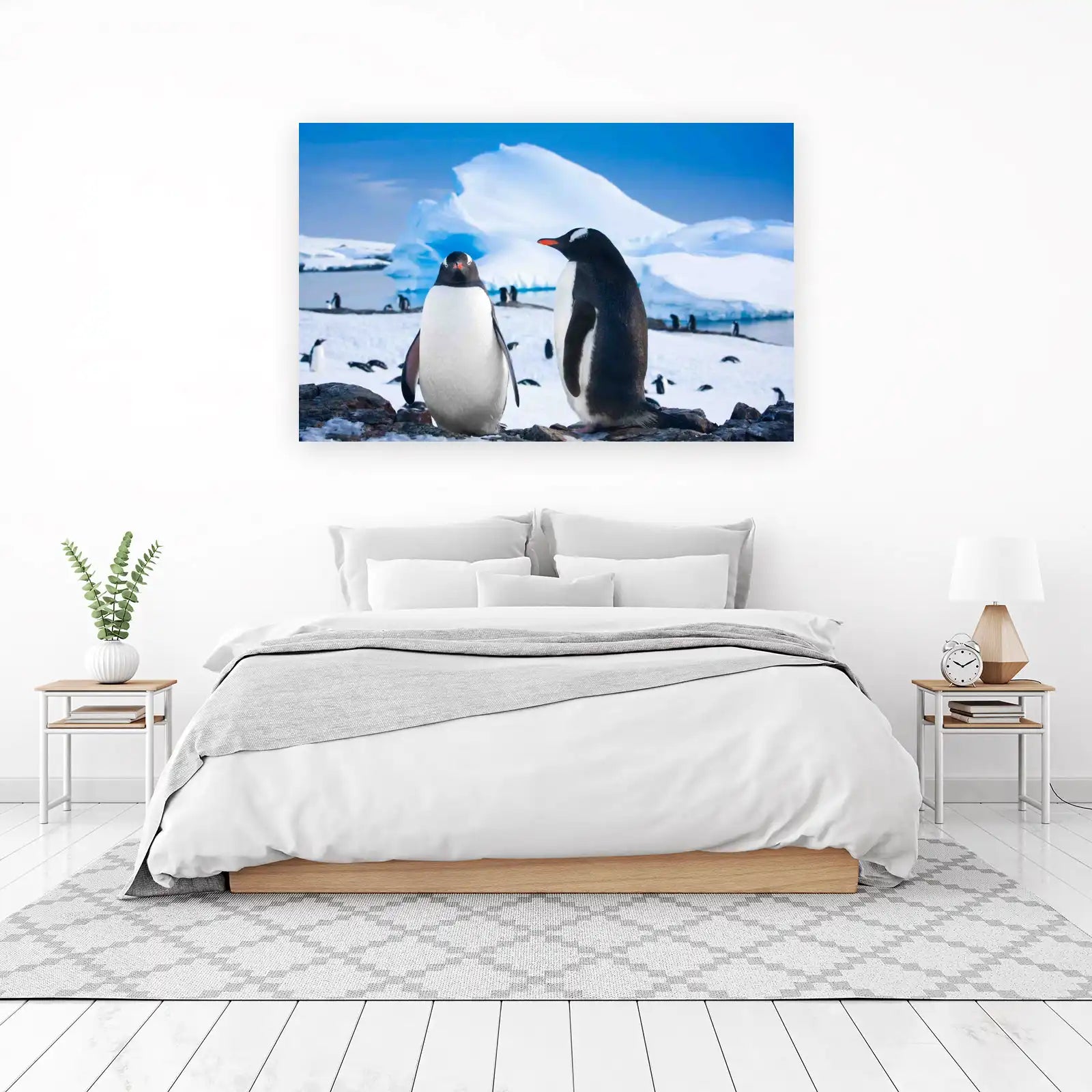Adorable Penguins in Antarctica Wall Art