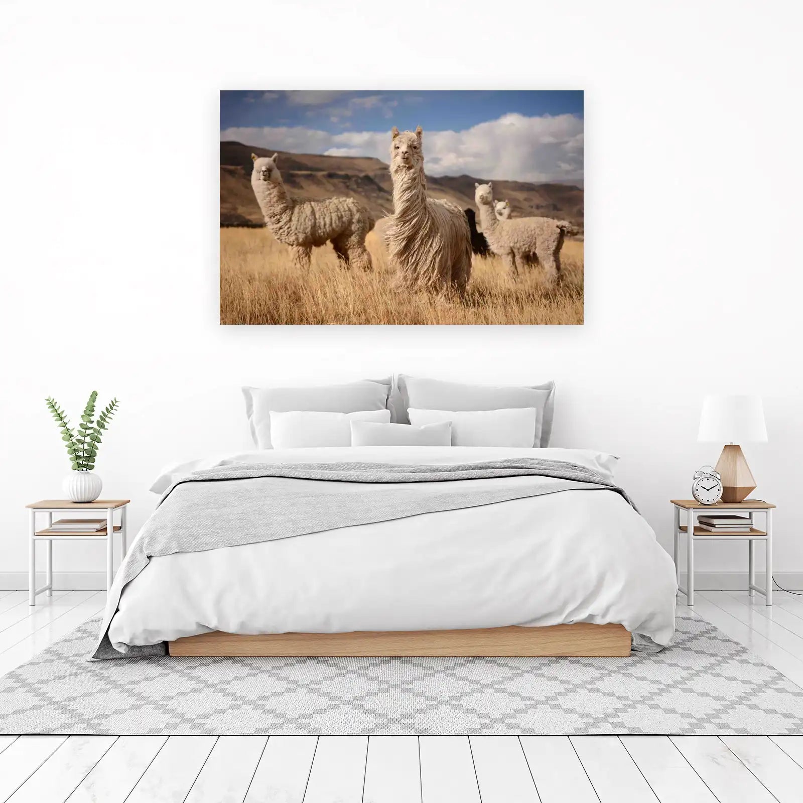Andean Alpaca Herd Wall Art