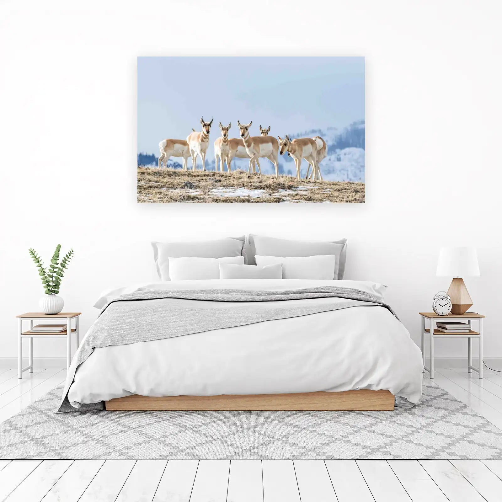 Majestic Pronghorn Herd Wall Art