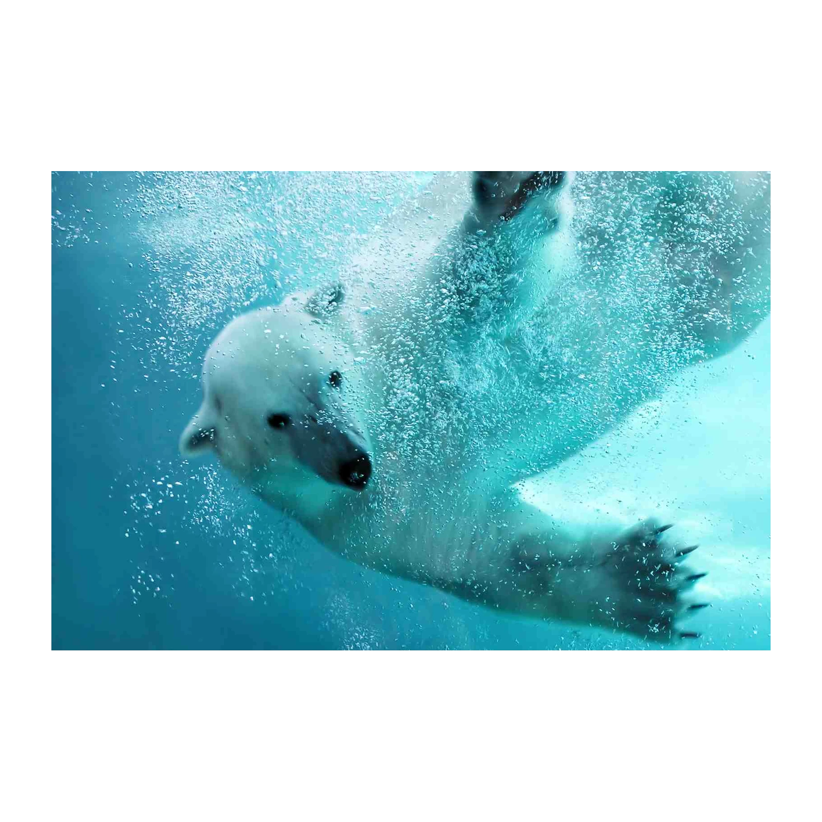 Majestic Polar Bear Underwater Arctic Adventure Wall Art