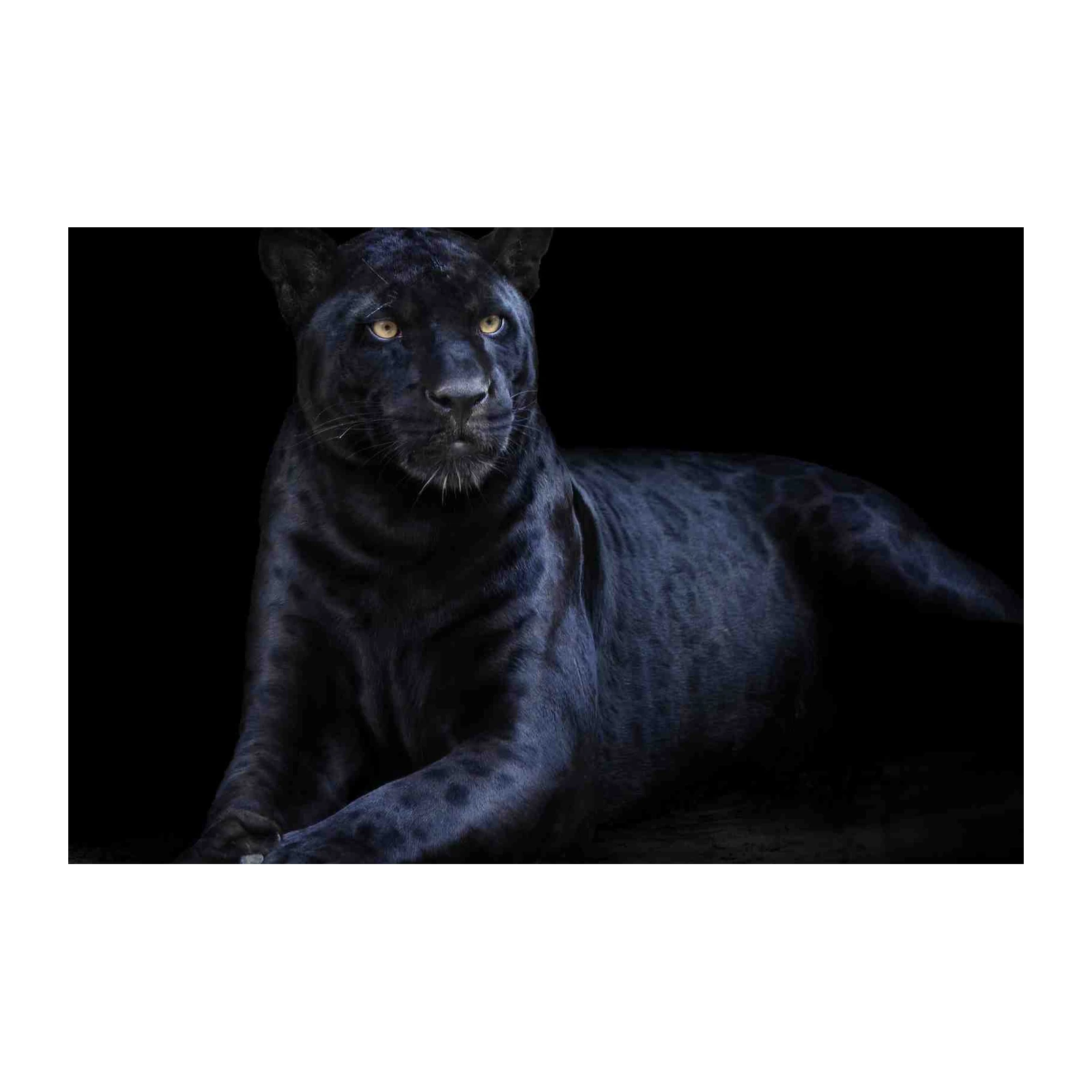 Majestic Black Panther Portrait Wall Art