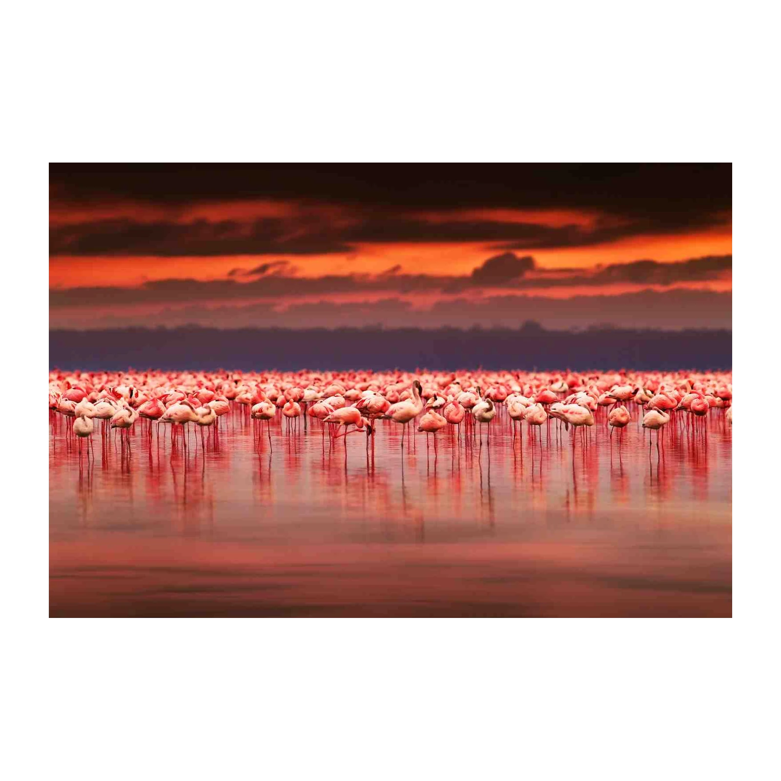 Flamingo Paradise Sunset Wall Art