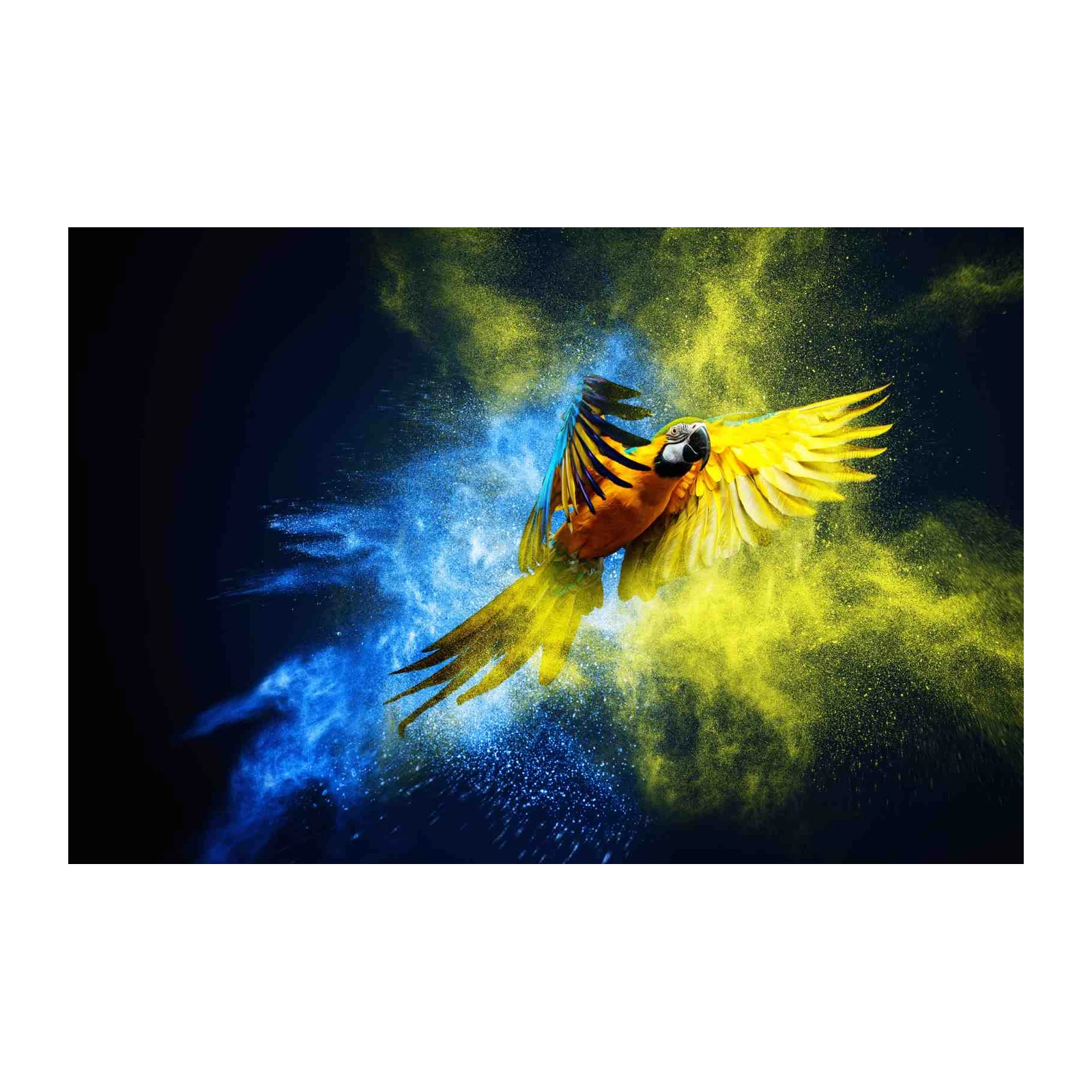 Vibrant Macaw Flight Yellow Blue Splash Wall Art