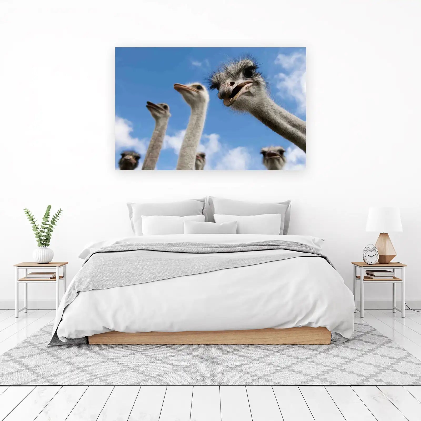 Quirky Ostrich Flock Wall Art